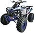HHH 125cc ATV Quad Youth Utility Style ATV 125cc Fully Automatic Outlander ATV with Reverse Gas 4 Wheeler ATVs Quads Big 19/18 inch Tires (Blue)