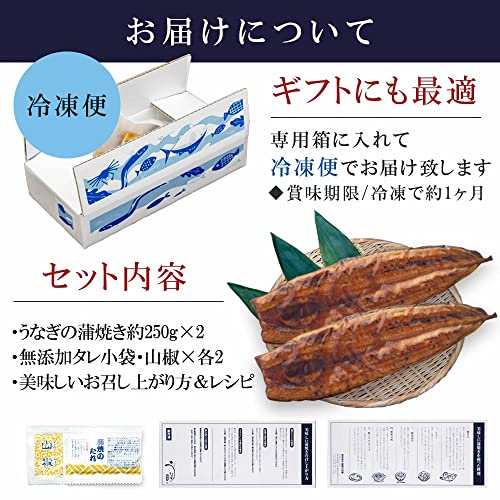 PRAIRIE DOG (プレーリードッグ) 国産 うなぎ 蒲焼 鹿児島県産 (特大約250g×2尾) の商品画像 2