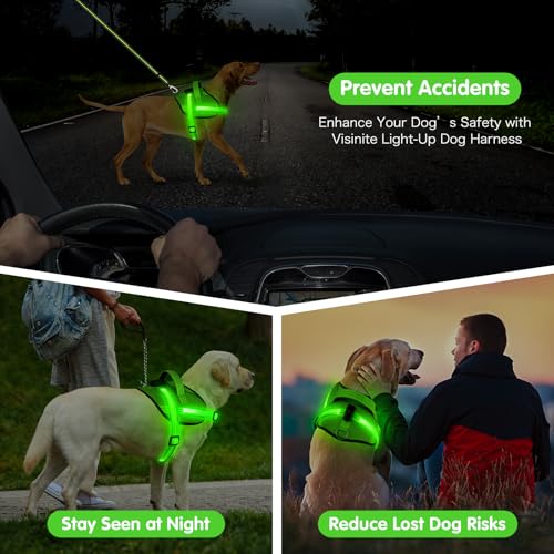 Light Up Hundegeschirr, No-Pull Led Hundegeschirr Wiederaufladbar, Reflektierend Leuchtgeschirr für Hunde, Einstellbar & Komfort Gepolstert für Sicherheit beim Nachtspaziergang (Grün, L)