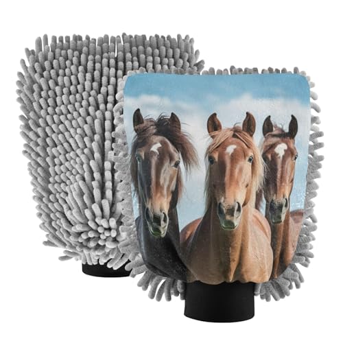 Flradish 2 Pack Thought Horse Car Wash Mitt Chenille Microfiber Lint-Free Scratch Free Ultra-Soft Absorbent Car Wash Mitt 11.8x8.07 Inch