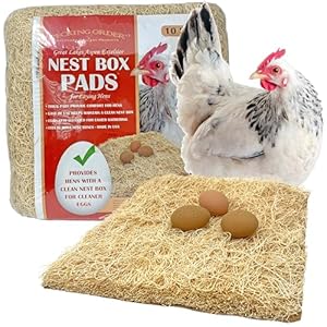 Nest Box Pads for Chicken Nesting Boxes – 13 x 13 Pads Made in USA from Sustainably Sourced Aspen Excelsior (10 Pack)