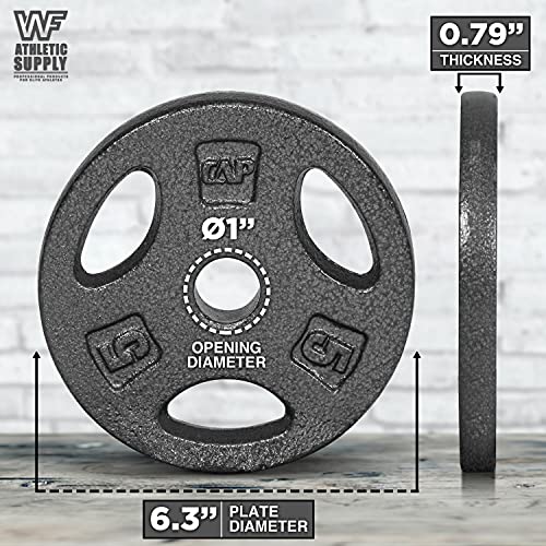 Wf Athletic Supply Cast Iron 1-Inch Standard Grip Plate For Strength Training, Muscle Toning, Weight Loss & Crossfit - Multiple Choices Available #TOP1