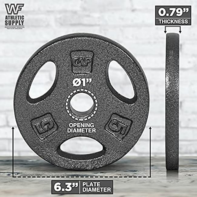 WF Athletic Supply Cast Iron 1-Inch Standard Grip Plate for Strength Training, Muscle Toning, Weight Loss & Crossfit - Multiple Choices Available