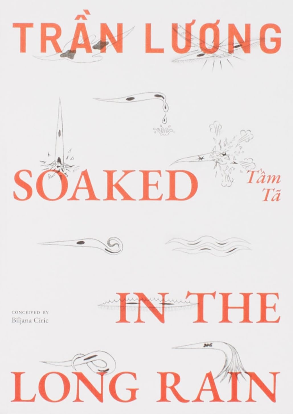 Trn Luong Soaked in the Long Rain by Tráº§n LÆ°Æ¡ng PAPERBACK 9788867496631