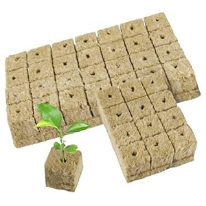 42 stuks steenwol kubussen: 4 x 4 x 4 cm steenwol kweekmat vloerloos Rockwool Cube teelt hydrocultuur bodemloos cultuursubstraat steenwol voor stekken plantenvermeerdering