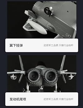 Amazon.co.jp: Qバージョン小型飛行機モデル合金おもちゃJ20戦闘