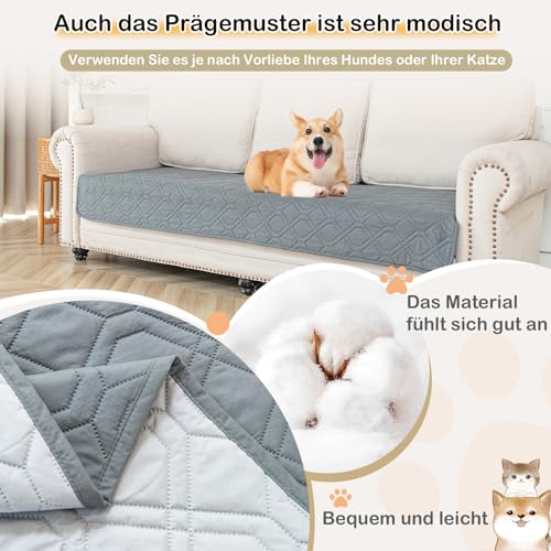 GYURO 100% wasserdichte Hundedecke-Beidseitig verfügbar und weich Hundematte für großeund kleine Hunde,Schutz für Sofa & Bett& Auto - in der Waschmaschine waschbar (Grau, 60 * 80CM)