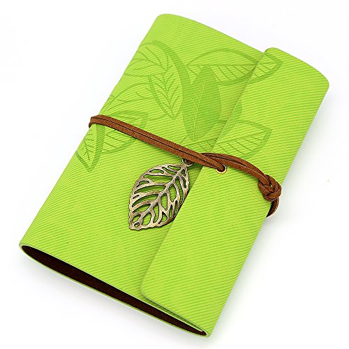 EvZ Vintage Light Green PU Leather Cover Loose Leaf Blank Notebook Journal Diary Gift