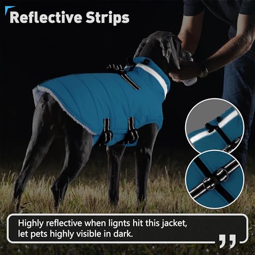 Image of Dogcheer Dog Coat with Harness, Waterproof Dog Winter Jacket - Sky Blue,S