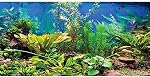 Aquarium Decor Backgrounds