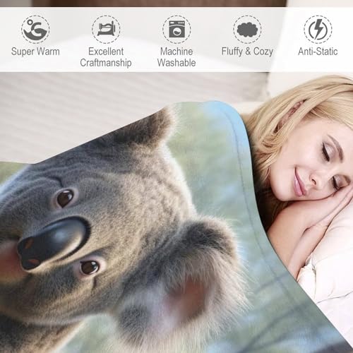 Couverture flannel douce koala pour lit et canapé cocooning - 6