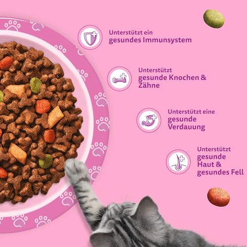 WHISKAS Junior Trockenfutter für Katzen 5 x 800g mit Huhn