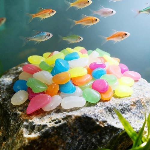 Piedras decorativas para jardín al aire libre en senderos y maceteros 3