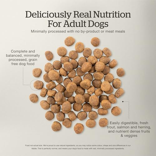 Image of Now Fresh Grain-Free, Dry Dog Food, Real Trout, Salmon and Herring Adult Recipe, All Breed Size, 22 lb Bag