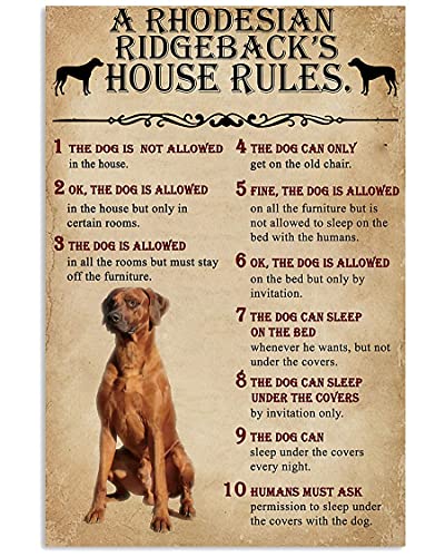 Curteny Funny Metal Tin Sign Wall Decor The Dog House Rules A Rhodesian Ridgeback Metal Sign Retro Wall Decor for Home Cafes Office Store Pubs Club Sign Gift 6x8 Inch Inch Plaque Tin Sign