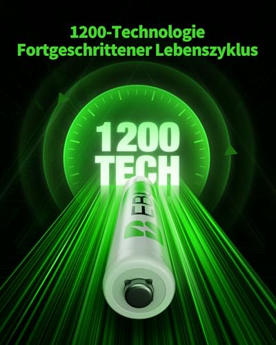 EBL AA Akku 2800mAh 8 Stück - Mignon AA wiederaufladbare Batterien, Typ NI-MH, geringe Selbstentladung mit Staubkasten, 1.2v AA Akkubatterien 6
