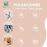 Ver la foto 6