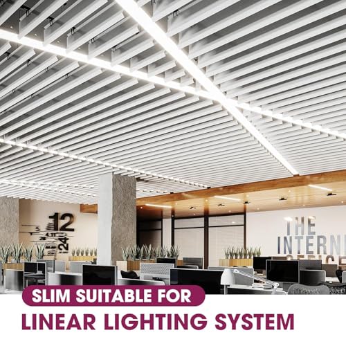 Image of EMITEVER 30W Slim Triac Dimmable LED Driver,Power Supply 100-277V AC to 24V DC, 0-100% Dimming Transformer for LED Lights,Compatible with Lutron and Leviton Dimmers,Class 2,UL Listed