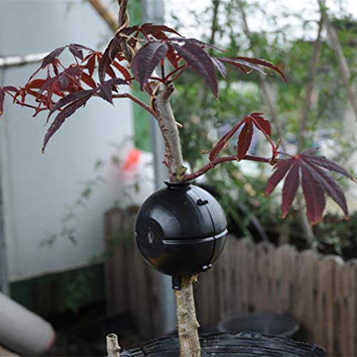 3 Pecas Caixa De Propagação De Plantas Equipamento De Reprodução Para Rosa Vagem De Propagação De Pl