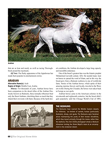 image for Fox Chapel Publishing The Original Horse Bible, 2nd Edition: The Defin