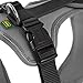 HUNTER Neoprene Dog Harness, X-Large, Black/Grey
