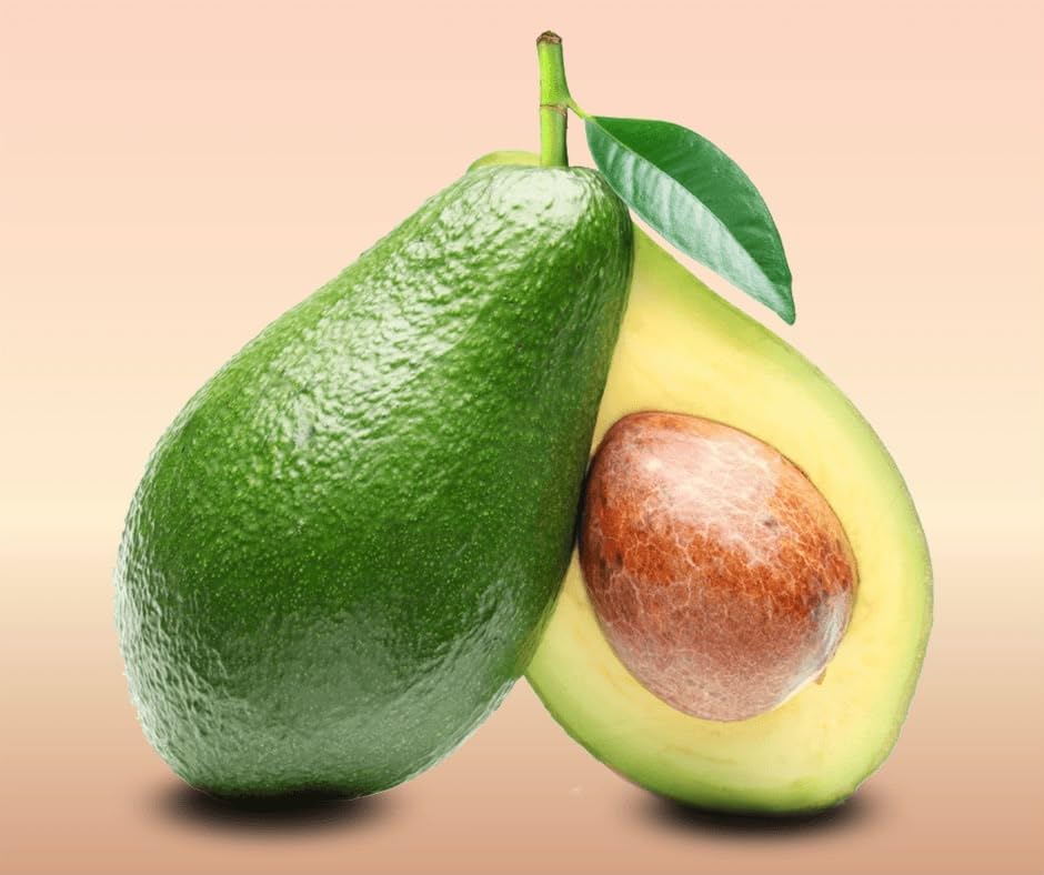 Image of ONE AVOCADO FRUIT PLANT HYBRID ORGANIC OUTDOOR GARDEN LIVE GRAFTING TREE | 24