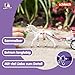 Schleich Horse Club - 32PC Horse and Carriage Picnic Playset - With Pony, Toy Dog, Action Figure and More - Interactive Play for Kids Ages 5+