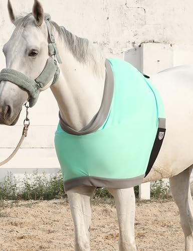 Protector de pecho para caballo transpirable de verano L menta 8