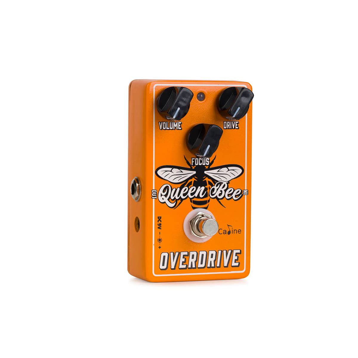 Caline CP-503 Queen Bee Overdrive - Overdrive Pedale