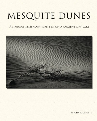 Mesquite Dunes: A Sinuous Symphony Written on a Ancient Dry Lake