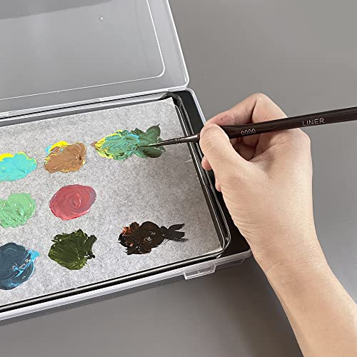 Wet Palette Wet Pallet for Miniatures Stay Wet Palette for Acrylic