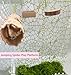 6Pcs Jumping Spider Accessories Set,Tree Jumping Spider Climbing Toy with Cave, Jumping Spider Feeder,2 Wooden Platforms and 2 Green Moss Ribbons,Small Reptile Enclosure Decoration Accessories