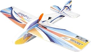 Dancing Wings Hobby Radio Control RC EPP Slow Flyer Dolphin 580mm Wingspan Need to Build (E3604-L10)
