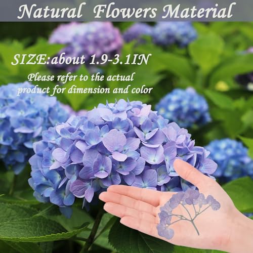 Flores secas de hortensia moradas con tallo 42PCS miniatura 2