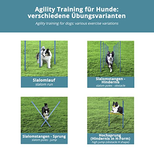 valuents Slalom Stangen mit Hürde in blau – Agility Set für Hunde – Hundetraining Zubehör – Fußball Traininigsset