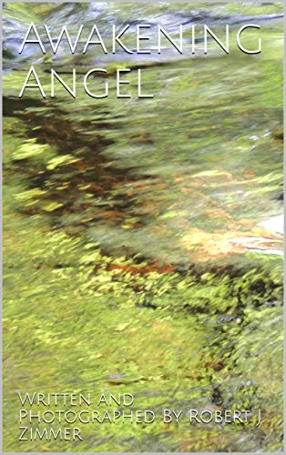 Awakening Angel (English Edition)