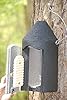 Nichoir pour chauve-souris 2 F avec plaque en bois