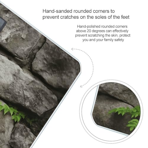 Báscula Digital de Baño Plant on Stone Wall con Pantalla Grande miniatura 4