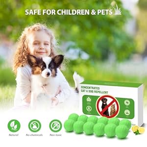 Cat-Repellent-Outdoor-12-Pack-Peppermint-Oil-Cat-Deterrent-Indoor-for-Home-to-Protect-Furniture-Curtain-Pet-Family-Safe-Dog-Repellent-to-Keep-Feral-Cats-Stray-Dogs-Out-of-Yard-Garden-Lawn - Cucciolini Doodles Cat-Repellent-Outdoor-12-Pack-Peppermint-Oil-Cat-Deterrent-Indoor-for-Home-to-Protect-Furniture-Curtain-Pet-Family-Safe-Dog-Repellent-to-Keep-Feral-Cats-Stray-Dogs-Out-of-Yard-Garden-Lawn