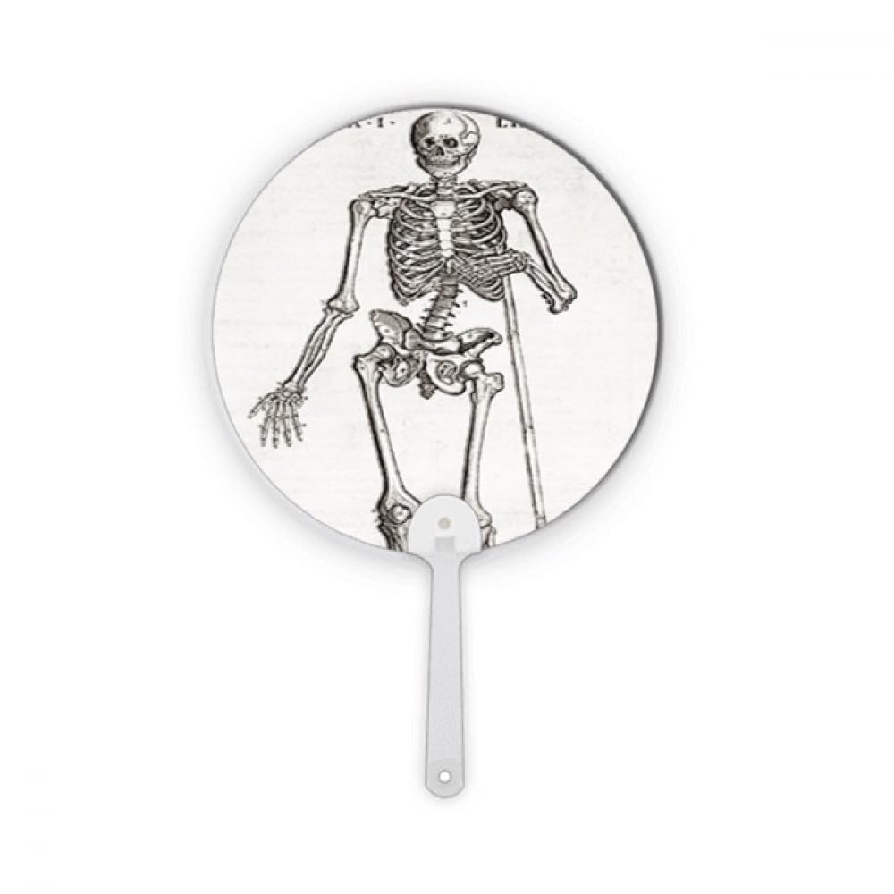 Éventail rond squelette humain en plastique pour décoration Halloween