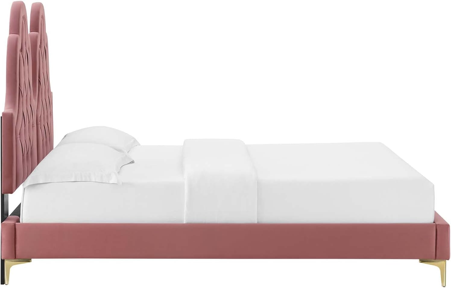 Modway Alexandria Tufted Performance Velvet Platform Bed with Gold Legs, Twin, Dusty Rose