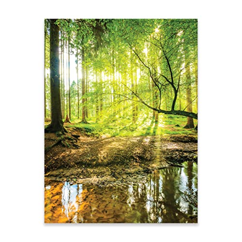 WallArena Poster Wald Natur Grün Landschaft 50x70 cm Hochformat - OHNE...