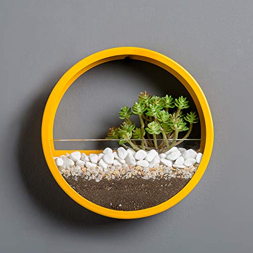 Confezione da 8 supporti per vasi da fiori da 10,2 cm, montaggio a parete, in metallo, per vasi da fiori da parete, per casa, giardino, interni ed