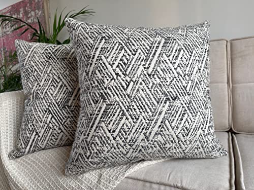 Kema Farmhouse Fall Decorative 2 Piece Cotton Throw Pillow Cushion Covers 24 By 24 Inch New Year Holiday Thanksgiving Pillow Covers Only For Home Living Room Couch (Black Neutral) #TOP12