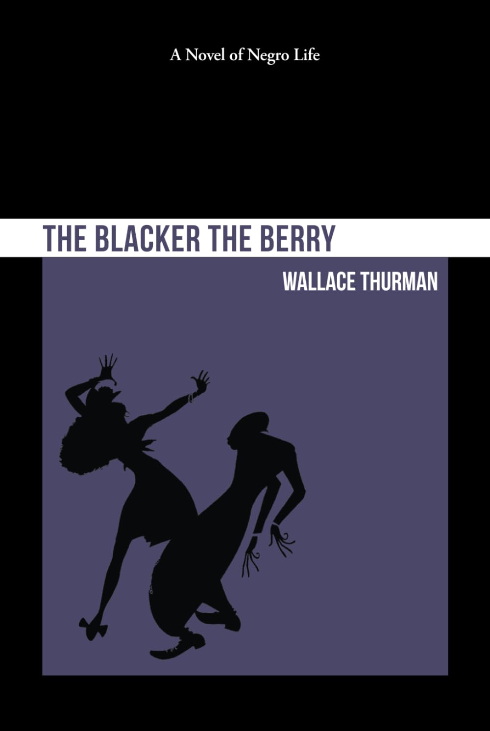 The Blacker the Berry: A Novel of Negro Life
