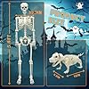 UMEELR 5.4FT Halloween Skeletons, Full Size Skeleton with Skeleton Dog, Plastic Life Size Human Skeletons for Halloween Graveyard Haunted House Party Decoration #1
