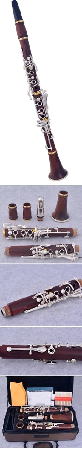 Rosewood Professional 17 Key Clarinet bB Gold Plated Clarinet