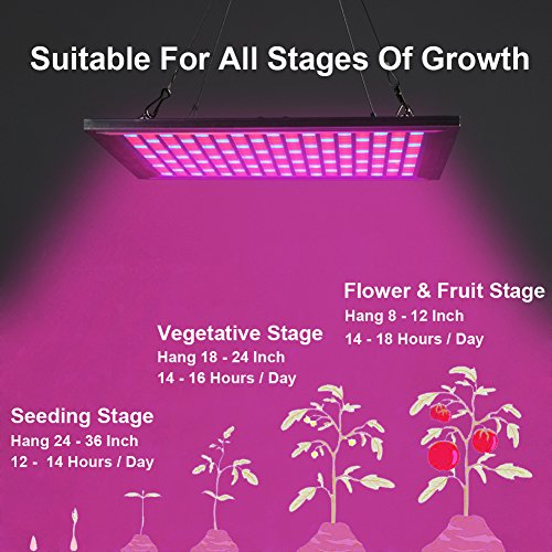 LED Grow Light for Indoor Plants Growing Lamp 289 LEDs 150W Red Blue Spectrum Full Aluminum Dimmable Plant Lights Bulb Panel for Hydroponics Greenhouse Germination Seedling Veg and Flower by Venoya - Thumbnail 5