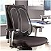 Fellowes, FEL9191301, Office Suites Mesh Back Support, 1 Each, Black