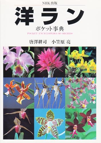Amazon.co.jp: 小笠原 亮: 本、バイオグラフィー、最新アップデート
